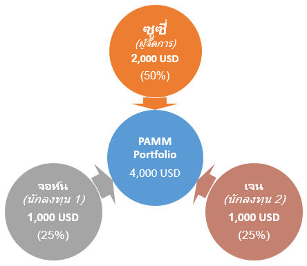 Investment example 1: Alpari PAMM