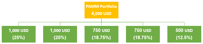 Example of investing in Alpari PAMM 2