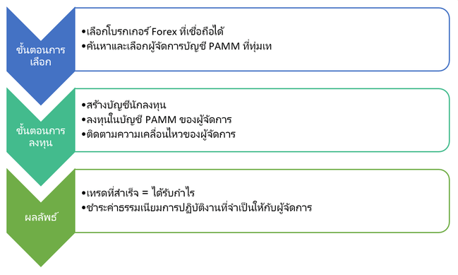 บัญชี PAMM Forex